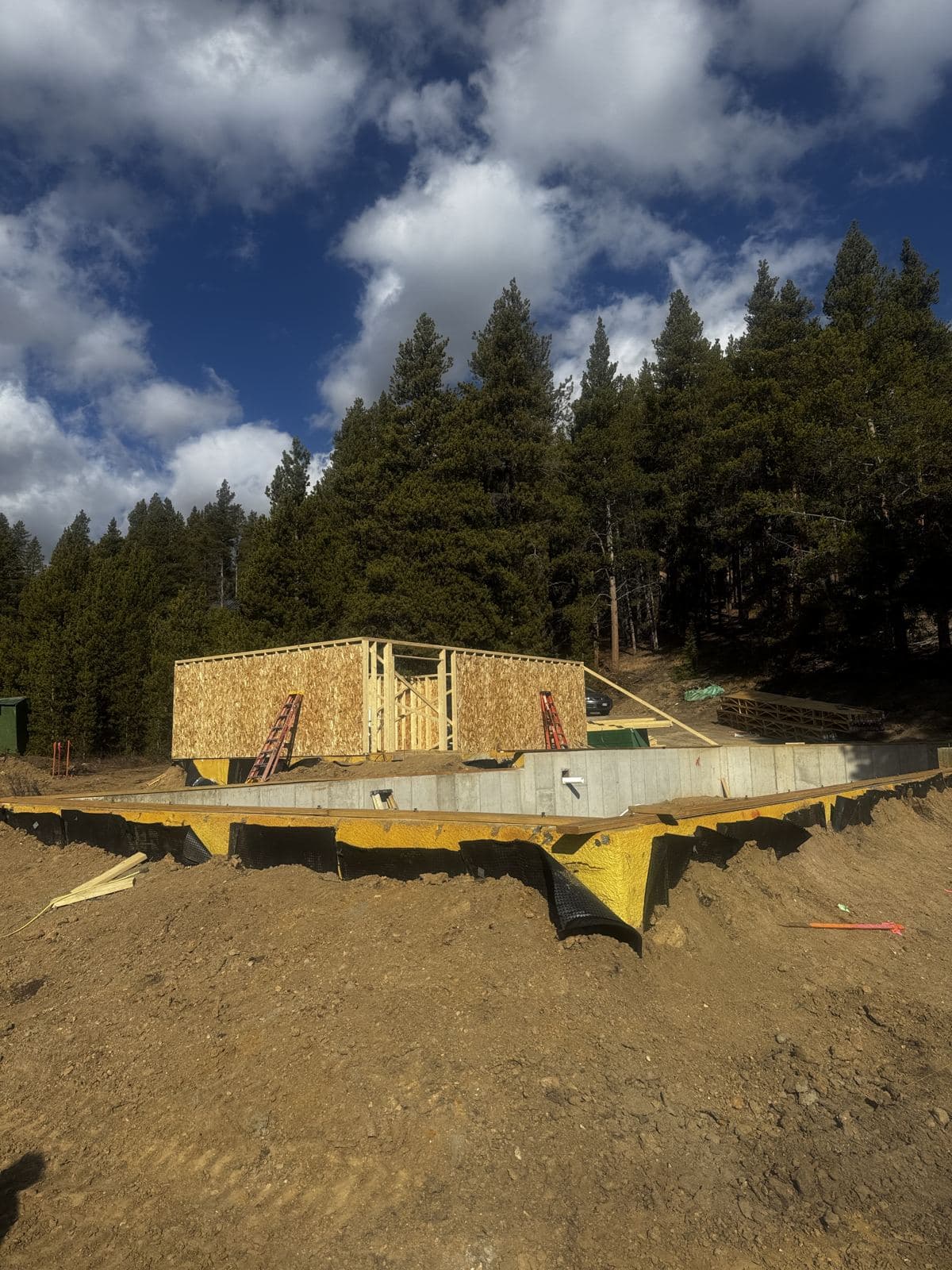 A sheathed volume on a concrete foundation, cut into a slope under the pines.