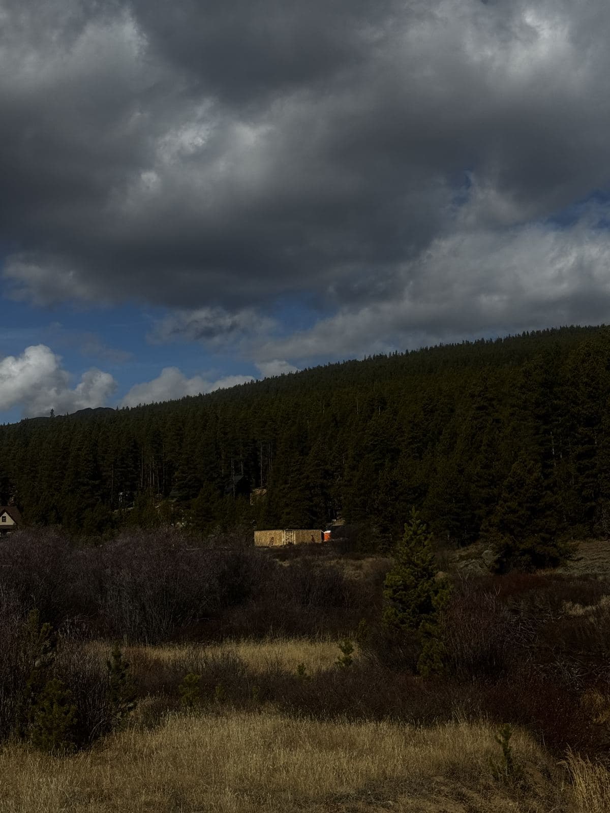 The sheathed volume small against a pine slope, seen from the meadow.