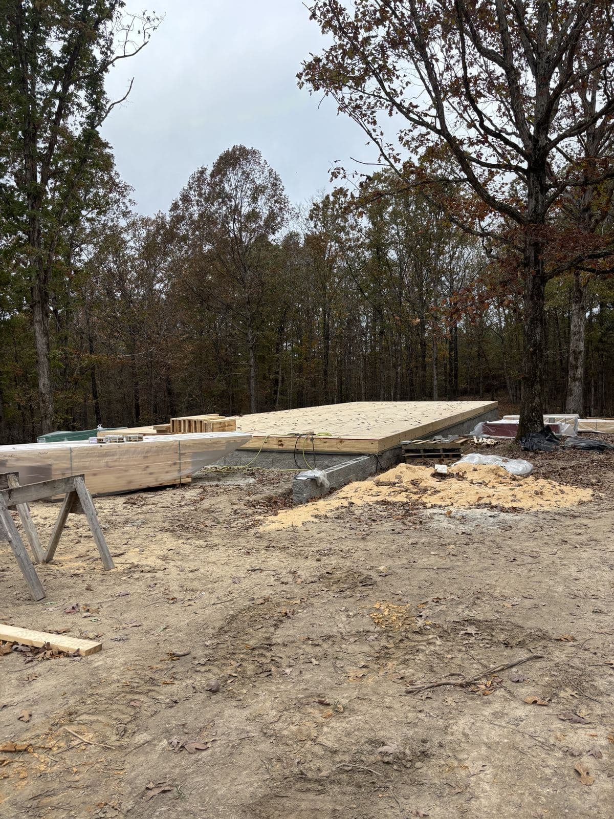 The subfloor on the foundation, set in the oaks, the ground still bare.