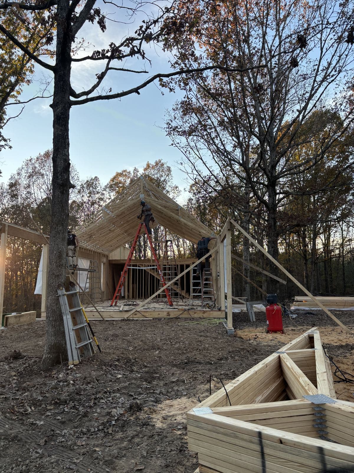 The roof being raised, trusses going on between the trees.