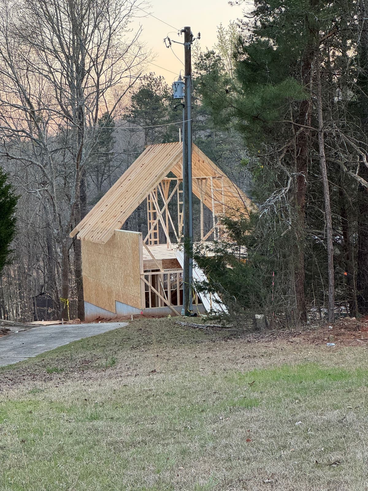 The roof framed, sheathing started on the lower walls, pines behind.