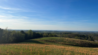 Landscape with green fields and trees under a clear blue sky