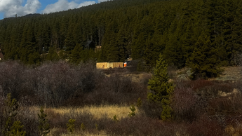 Janesse's Residence, a building site in Leadville, CO, a yellow building in a forested area with trees and shrubs around
