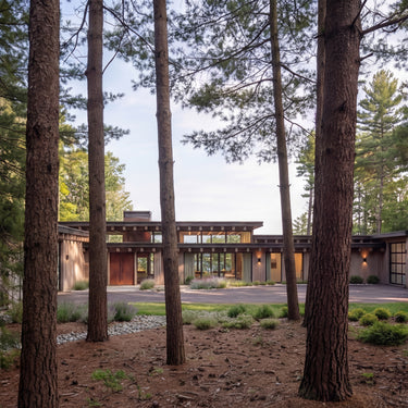 The Car's Collector is a modern custom home partially obscured by tall trees in a forest setting.